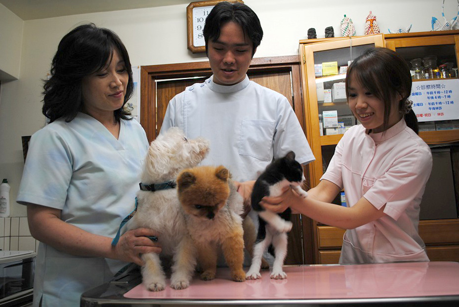 4_サクマ犬猫病院_01 サクマ犬猫病院_01